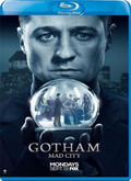 Gotham Temporada 3 [720p]